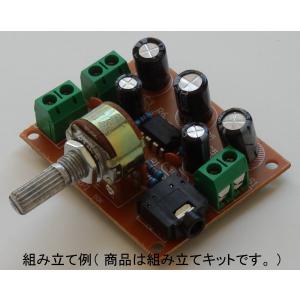 低電圧駆動小型ステレオアンプキット TDA28...の詳細画像1