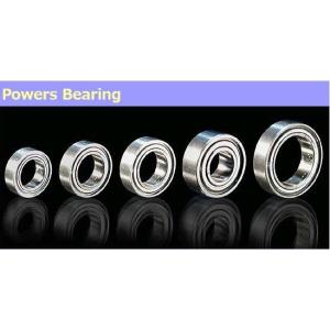 Powers Bearing 6×3×2 (Open ミニッツAWD用)｜irijon-y