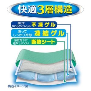 アイスノンソフト 氷枕 冷感 ひんやり 冷たい...の詳細画像3
