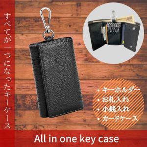 キーケース メンズ レディース 人気 小銭入れ お札入れ カードケース 牛本革 定期 免許証 カラビナ （ Iris.K アイリスケー ）