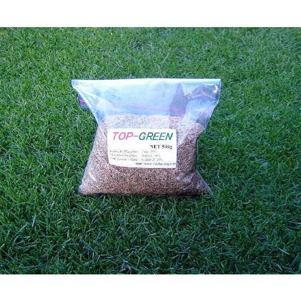 芝生の種・美しい緑を保つTOP-GREEN 500g×6(芝)送料無料