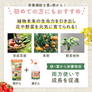 万田酵素 植物用 粒状 300g ストレート ...の詳細画像1