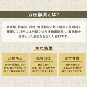 万田酵素 植物用 粒状 300g ストレート ...の詳細画像2