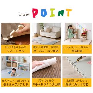 ジョイントマット 30cm 厚手 2cm 0....の詳細画像3