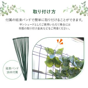 グリーンシェード 日よけシェード ベランダ目隠...の詳細画像4