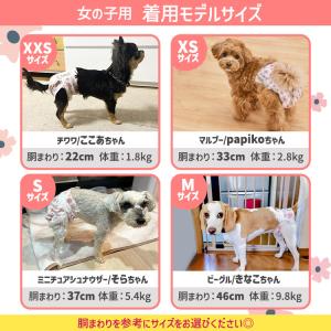 ＼最大4回分吸収/ 犬 オムツ ペットオムツ ...の詳細画像2