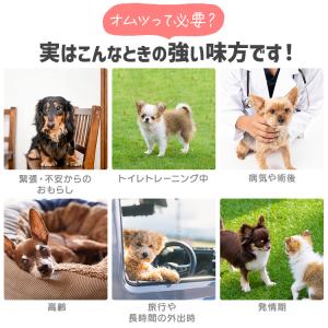 ＼最大4回分吸収/ 犬 オムツ ペットオムツ ...の詳細画像5
