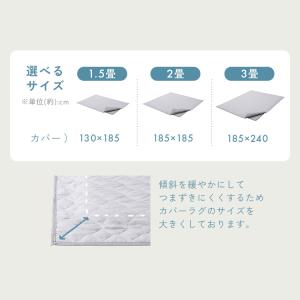 ＼数量限定 洗濯ネットおまけ付き/ ラグ カバ...の詳細画像2