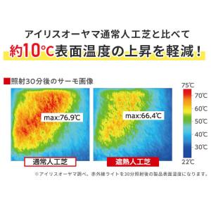 人工芝 芝生 リアル人工芝 ロール 2m×5m...の詳細画像2