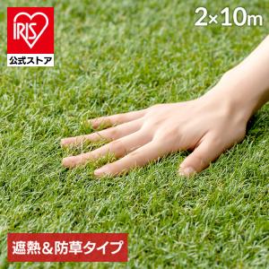 チャチャ　同サイズ3枚J19人工芝【プロ使用芝丈30mm 楽天市場】人工芝 30mmの通販