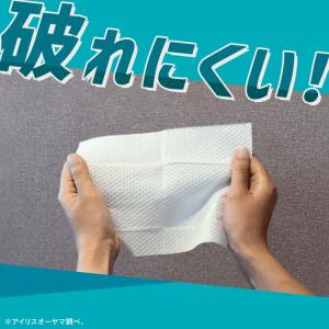 トイレクリーナー トイレ掃除シート 30枚入 ...の詳細画像1