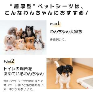 ペットシーツ ワイド レギュラー 超厚型 超厚...の詳細画像1