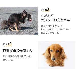 ペットシーツ ワイド レギュラー 超厚型 超厚...の詳細画像2