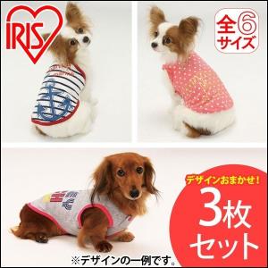 ペット 服 犬 デザインおまかせ3枚セット SS〜Lサイズ アイリスオーヤマ 数量限定(在庫処分特価)