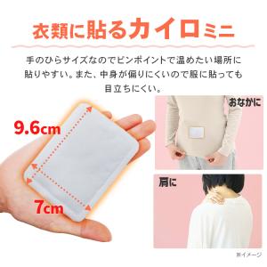 カイロ 貼る 貼れない 120枚 アイリスオー...の詳細画像2