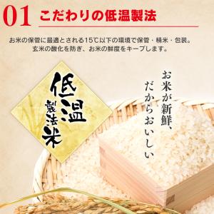 パックご飯 180g 30食 レトルトご飯 パ...の詳細画像4