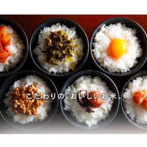 米 お米 10kg アイリスオーヤマ お米 ご...の詳細画像2