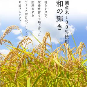 米 お米 10kg アイリスオーヤマ お米 ご...の詳細画像3
