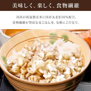 パックご飯 150g 24食 もち麦 アイリス...の詳細画像3