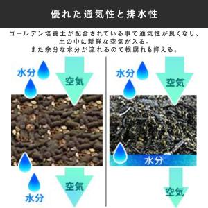 培養土 25L 2個セット 花 野菜 アイリス...の詳細画像2