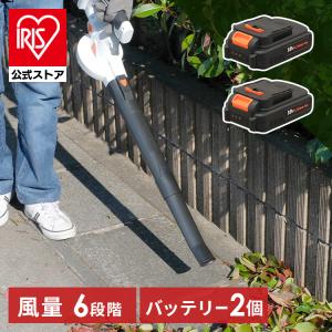 ブロワー 充電式 洗車 コードレス 18V バッテリー付き 軽量 落ち葉