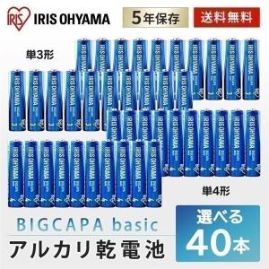 乾電池 単3 単三 単4 単四 電池 BIGCAPA basic 【代金引換不可・【メール便】【代金引換不可・後払い決済不可・日時指定不可】｜アイリスプラザ Yahoo!店