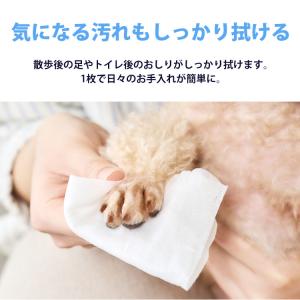ウェットティッシュ 144枚×10個セット ペ...の詳細画像1