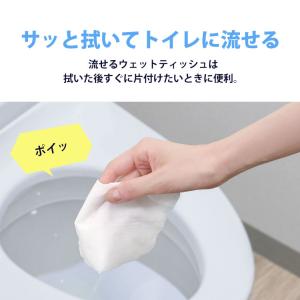 ウェットティッシュ 144枚×10個セット ペ...の詳細画像2