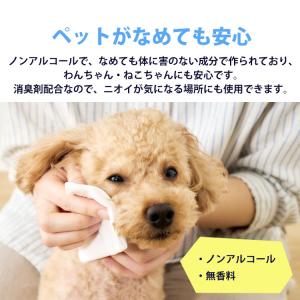 ウェットティッシュ 144枚×10個セット ペ...の詳細画像3
