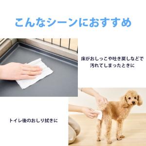 ウェットティッシュ 144枚×10個セット ペ...の詳細画像4