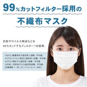 マスク 不織布 40枚×3個 120枚 アイリ...の詳細画像4