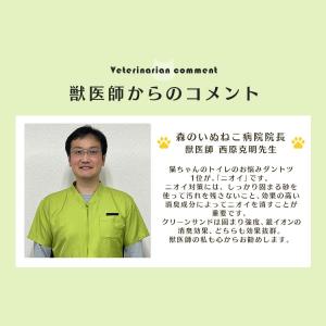 猫砂 鉱物系 アイリスオーヤマ 固まる 2袋セ...の詳細画像2