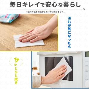 ウェットティッシュ 除菌シート 2880枚 1...の詳細画像4