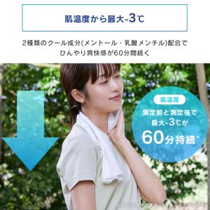 ボディシート 4個セット ウェットタオル 大判...の詳細画像2