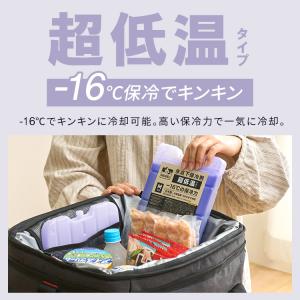 保冷剤 ハード Mサイズ 2個セット 長時間 ...の詳細画像2