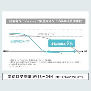 保冷剤 ハード Mサイズ 2個セット 長時間 ...の詳細画像5