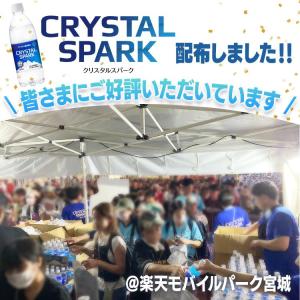 炭酸水 500ml 48本 強炭酸水 アイリス...の詳細画像1