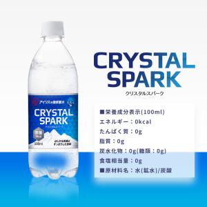 炭酸水 500ml 48本 強炭酸水 アイリス...の詳細画像4