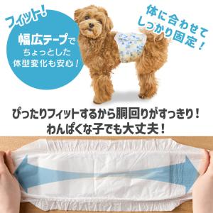 ＼3袋セット/ 犬マナーベルト 犬 オムツ ペ...の詳細画像5