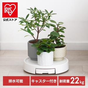 大型　陶器　観葉植物植木鉢　キャスター付 大型陶器観葉植物植木鉢キャスター付