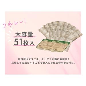 マスク 不織布 51枚 アイリスオーヤマ アイ...の詳細画像3