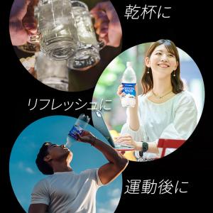 炭酸水 500ml 24本 強炭酸水 アイリス...の詳細画像5