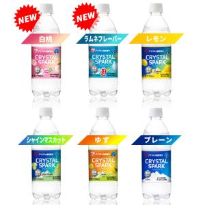 炭酸水 500ml 48本 24本×2箱 強炭...の詳細画像3