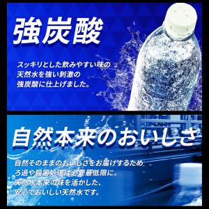 炭酸水 500ml 24本 強炭酸水 アイリス...の詳細画像5