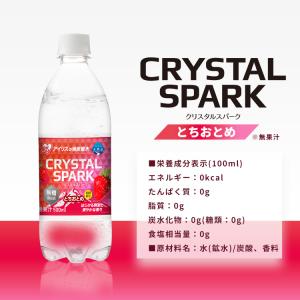 炭酸水 500ml 24本 強炭酸水 アイリス...の詳細画像1