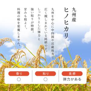 パックご飯 150g 24食 レトルトご飯 湯...の詳細画像1