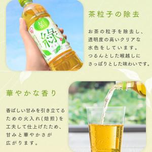 お茶 緑茶 ペットボトル 500ml 24本 ...の詳細画像4
