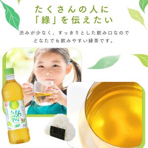 お茶 緑茶 ペットボトル 500ml 24本 ...の詳細画像5