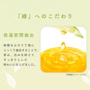緑茶 500ml 24本 購入特典:フブみこミ...の詳細画像5