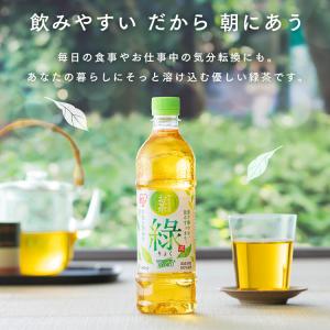 緑茶 500ml 24本 購入特典:フブみこミ...の詳細画像3
